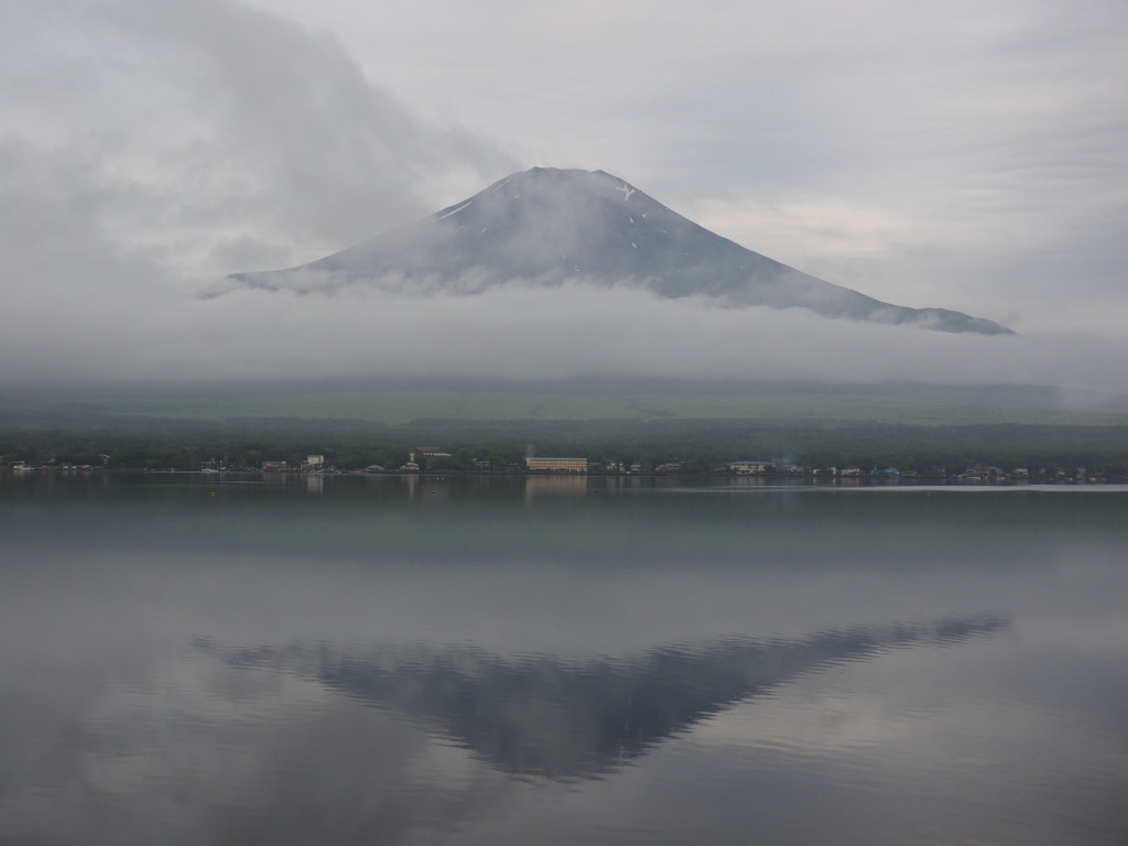 7/7 �����Ă����x�m�R