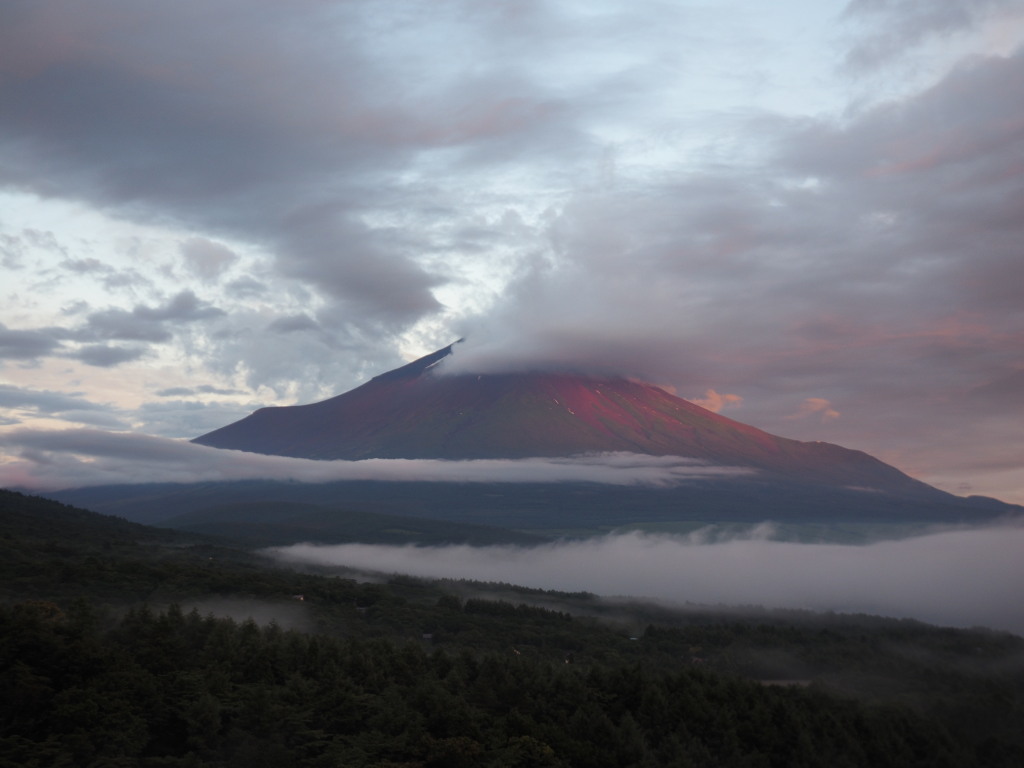 7/10 ���Ă��̕x�m�R