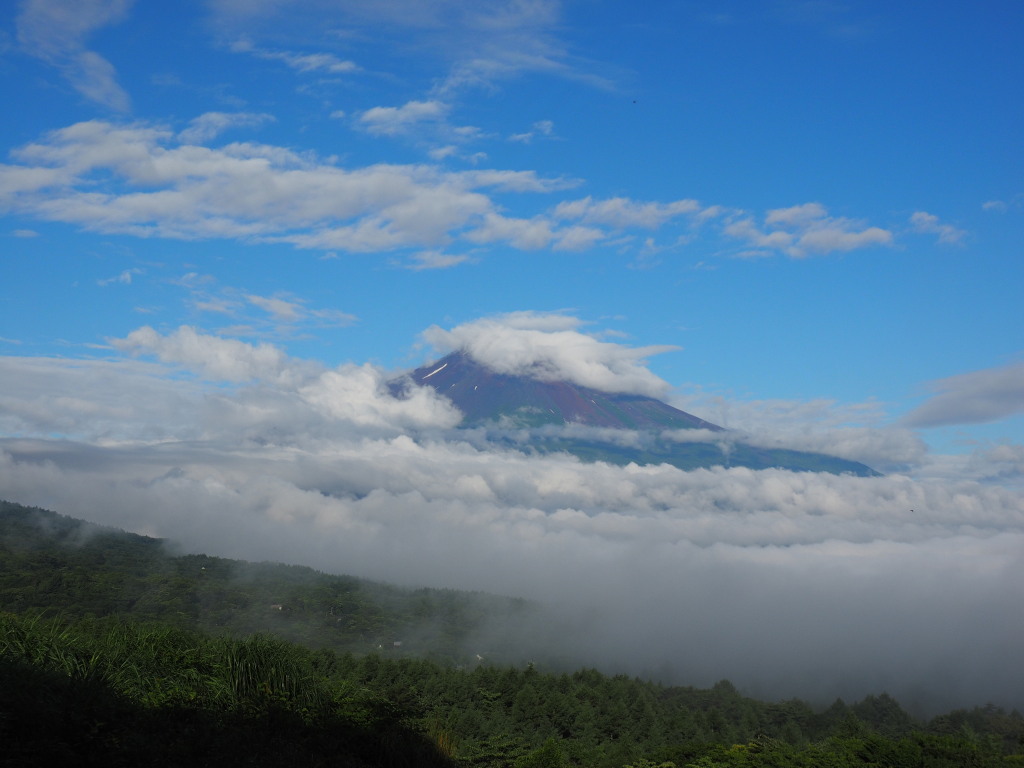 7/10 �_�L����