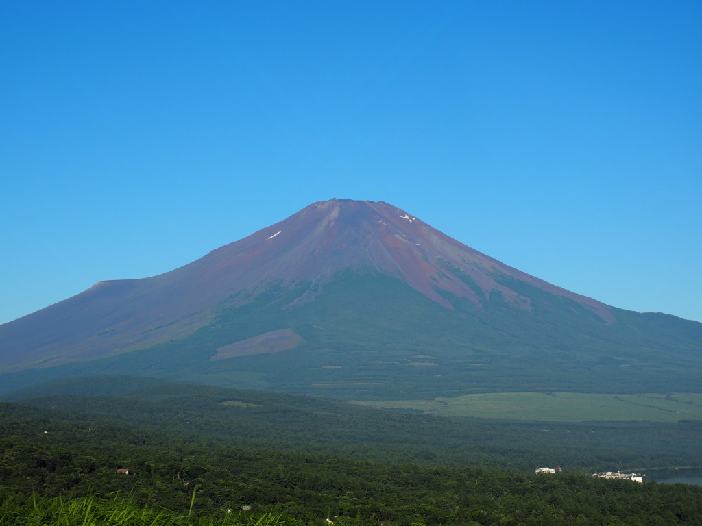 7/21 �s�[�J���̕x�m�R