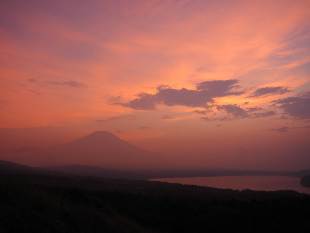 8/1 �[�Ă��̕x�m�R