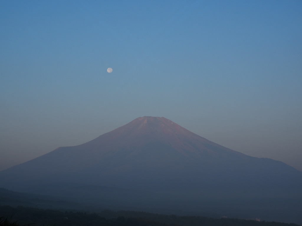 8/2 �p�[���x�m