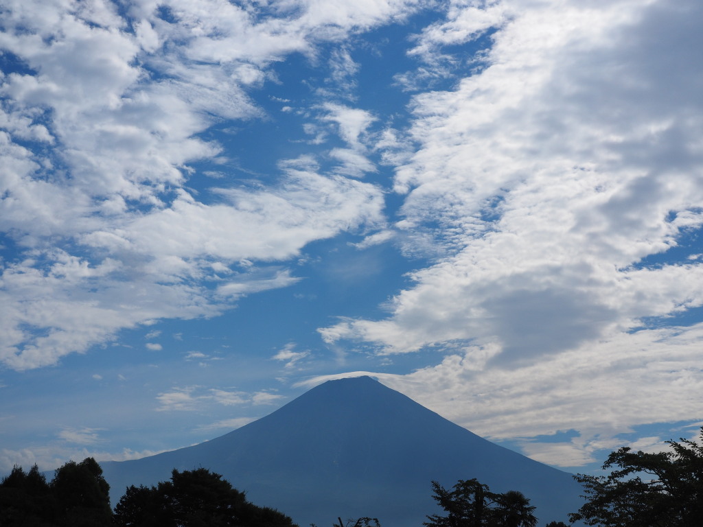 8/19 ��u�̕x�m�R