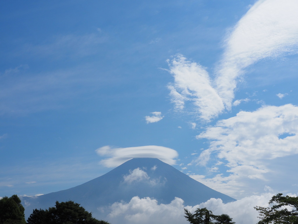 8/19 �P�_�̕x�m�R