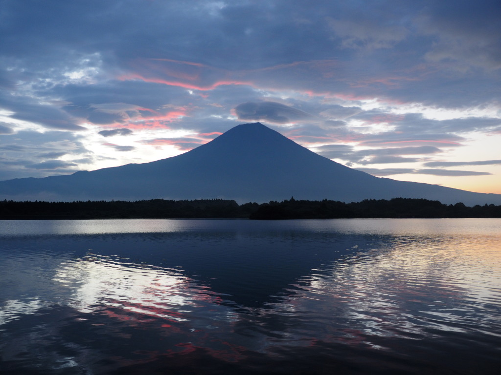 8/22 ���Ă��̕x�m�R