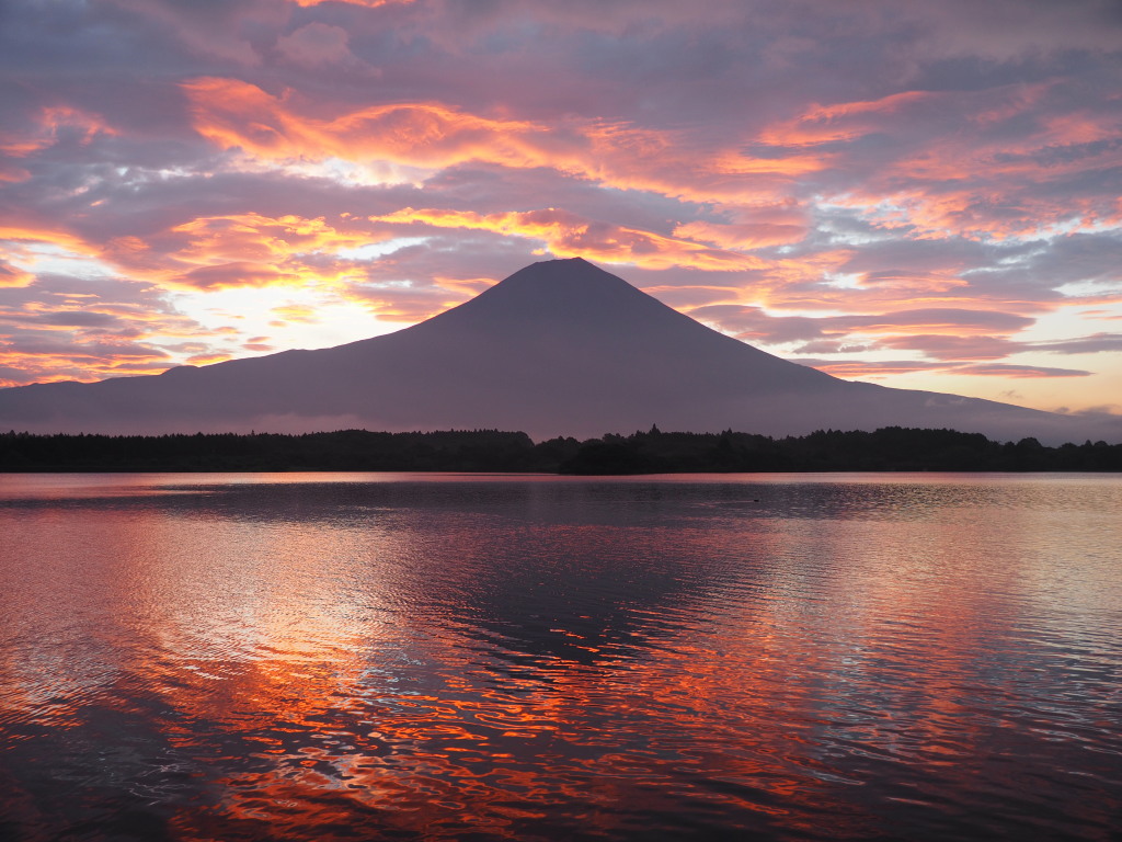 8/22 ���Ă��̕x�m�R(2)