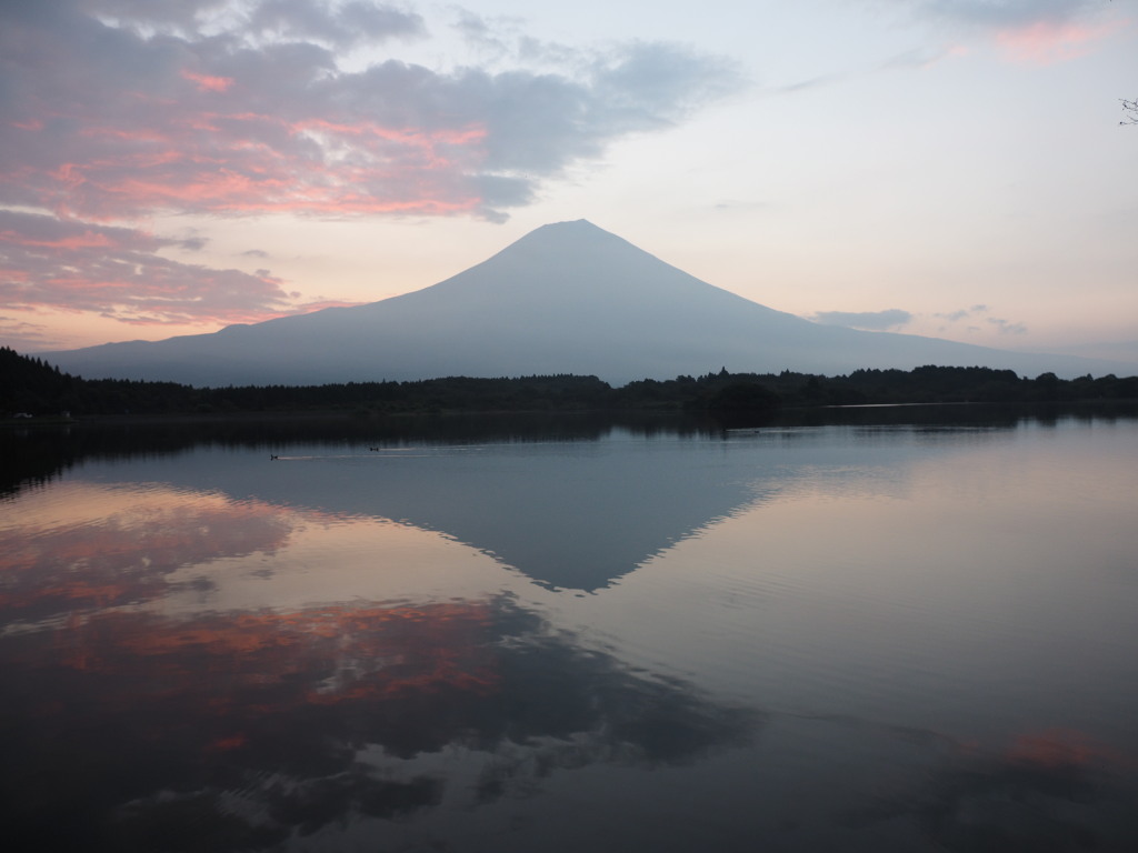 8/23 ���Ă��̋t���x�m