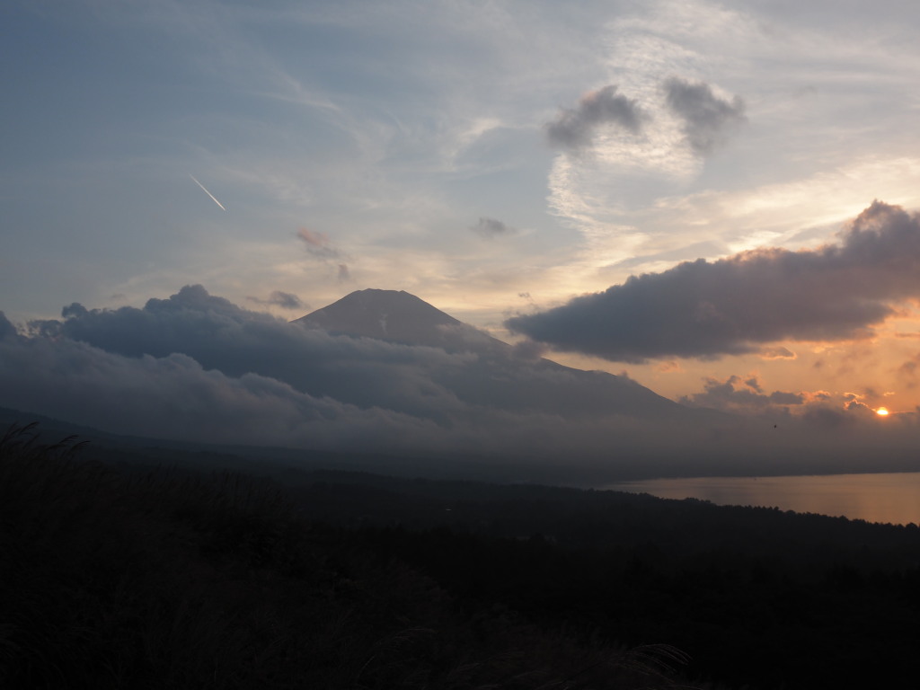 9/4 �[�Ă��ƕx�m�R