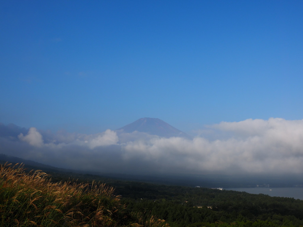 9/14 ��̕x�m�R