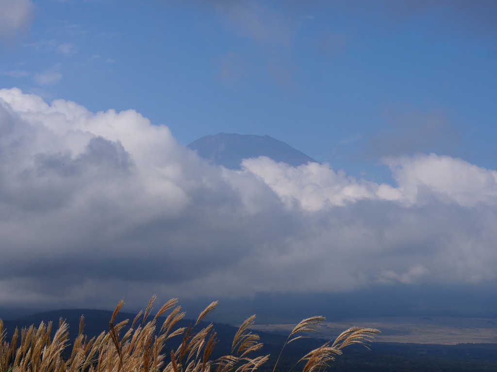 9/21 ��u�̕x�m�R