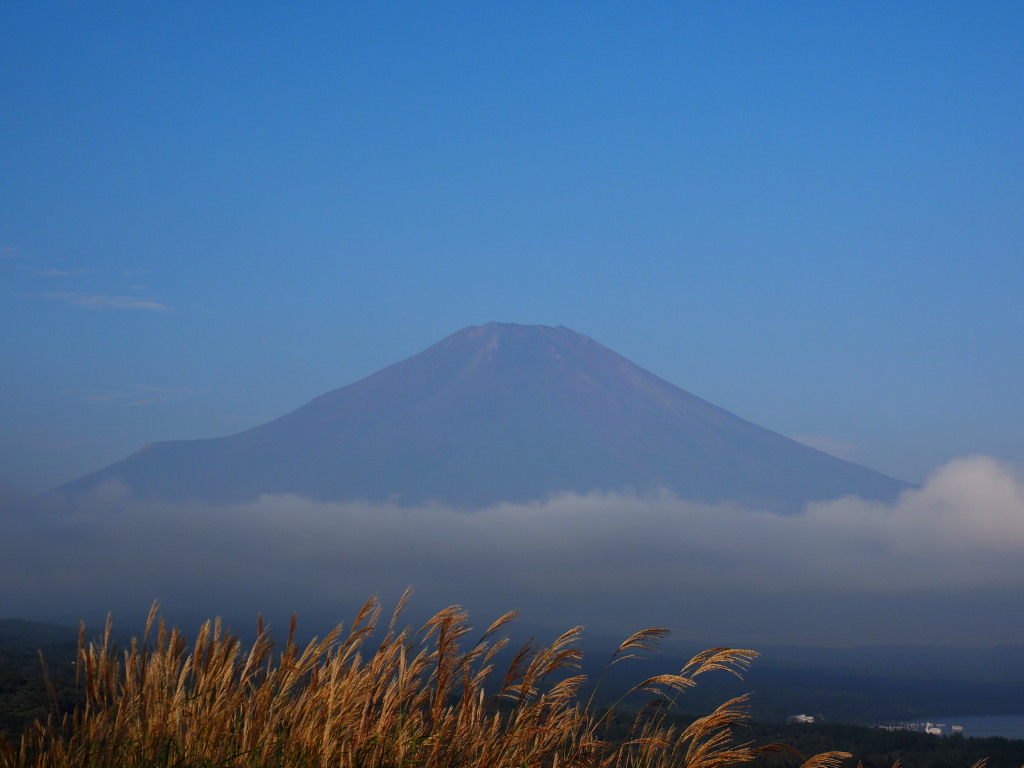 9/23 �������ƕx�m�R