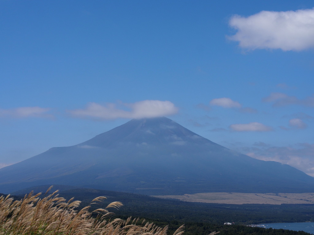 9/23 �_�ƕx�m�R