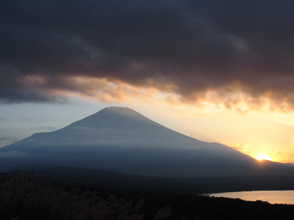 9/23 �_�̒��̗[�Ă�