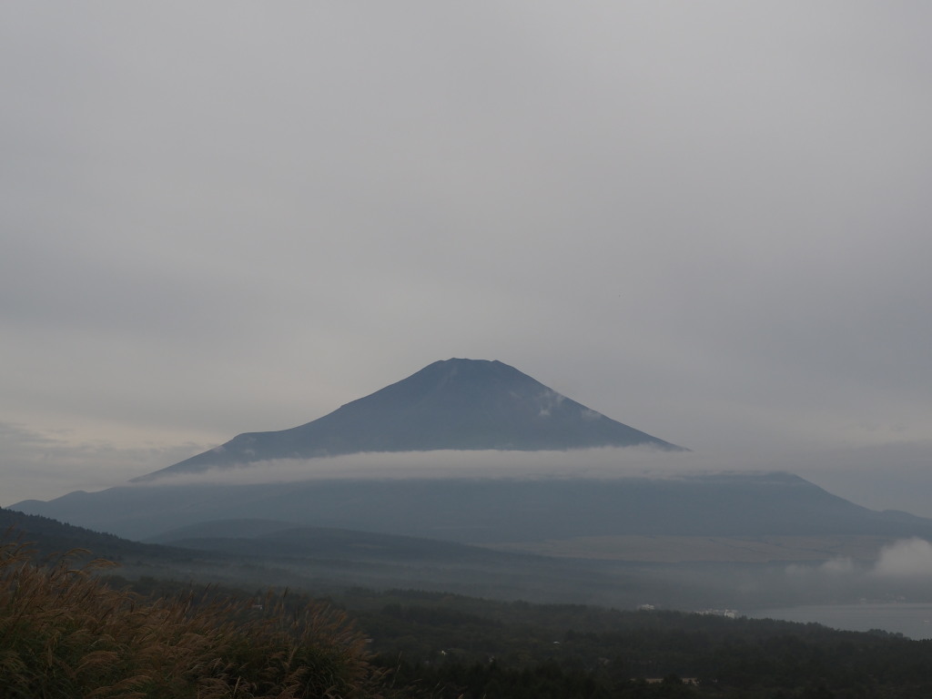 9/24 �_�C�����ǂ���x�m�R