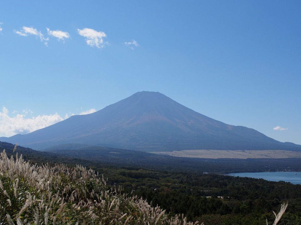 10/7 �������ƕx�m�R