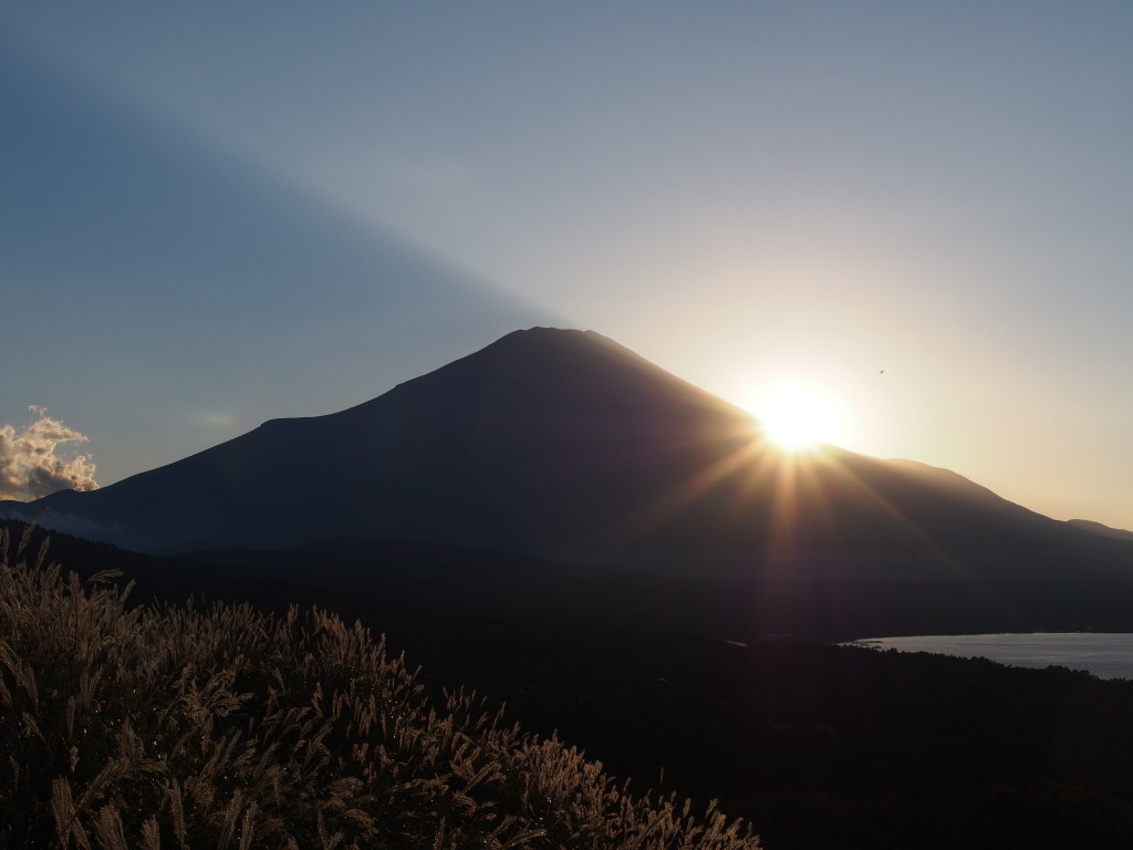 10/7 ���̓���̕x�m�R