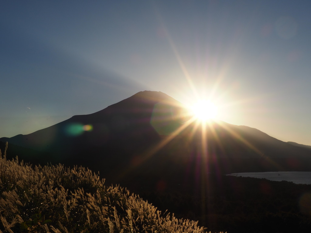 10/8 ���̓���̕x�m�R