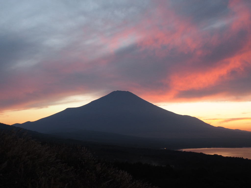 10/9 �[�Ă����Ă�(2)