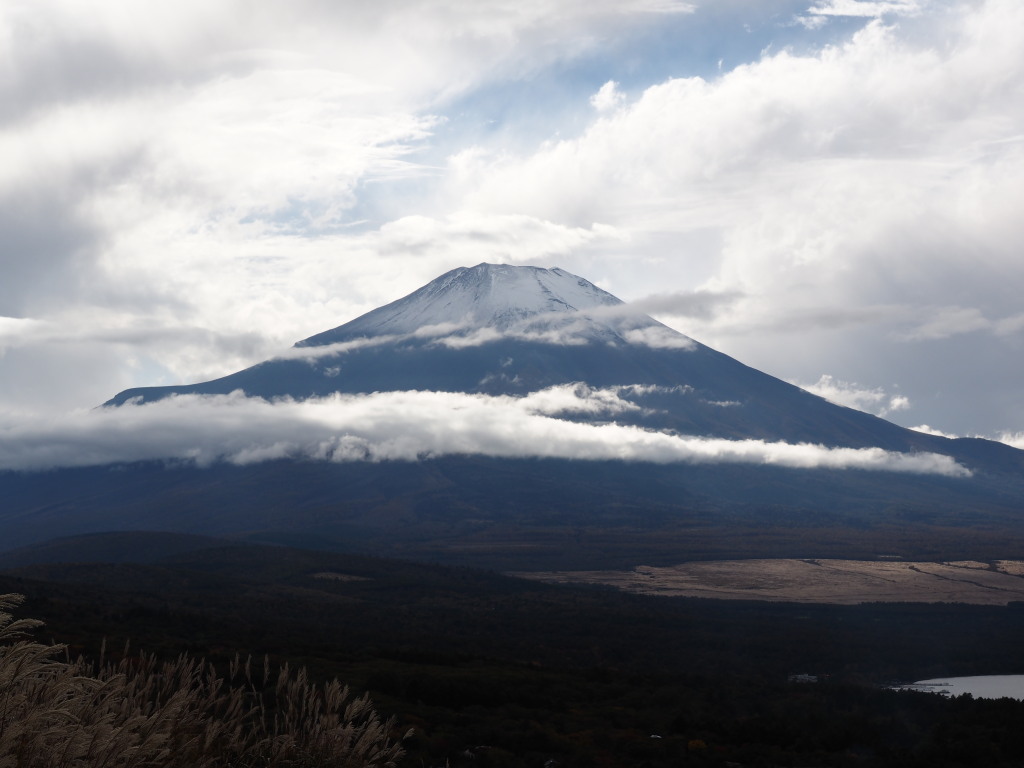 10/17 �J�オ��̕x�m�R