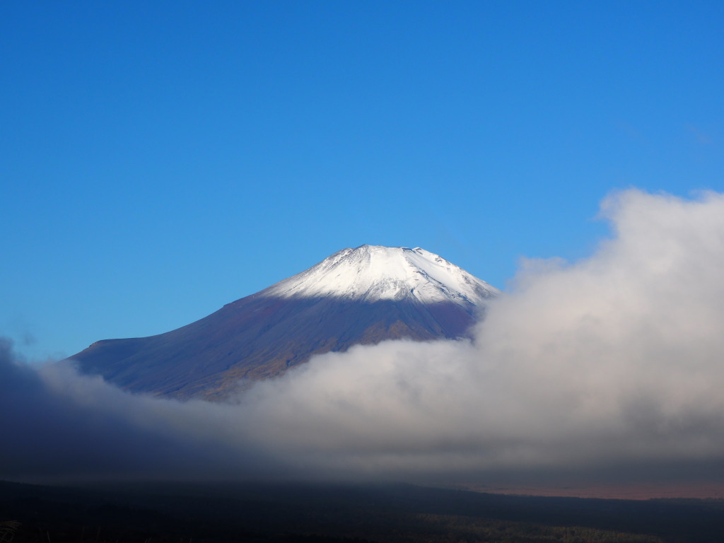 10/18 �����n�߂��x�m�R