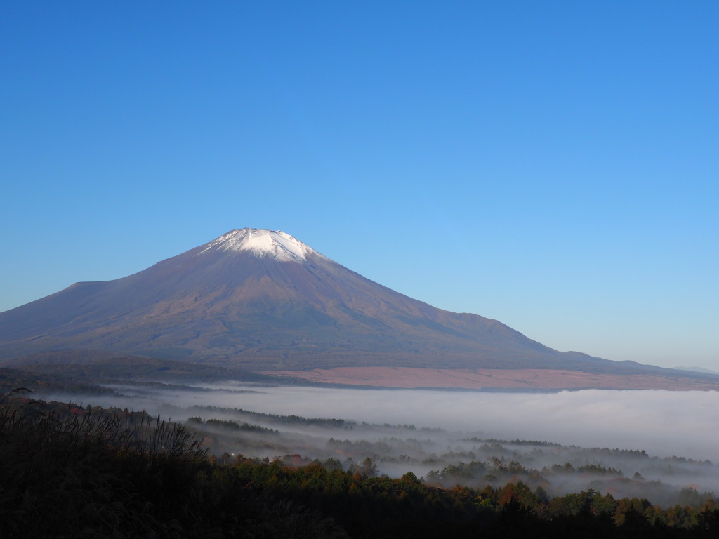 10/19 �_�C�ƕx�m�R(2)