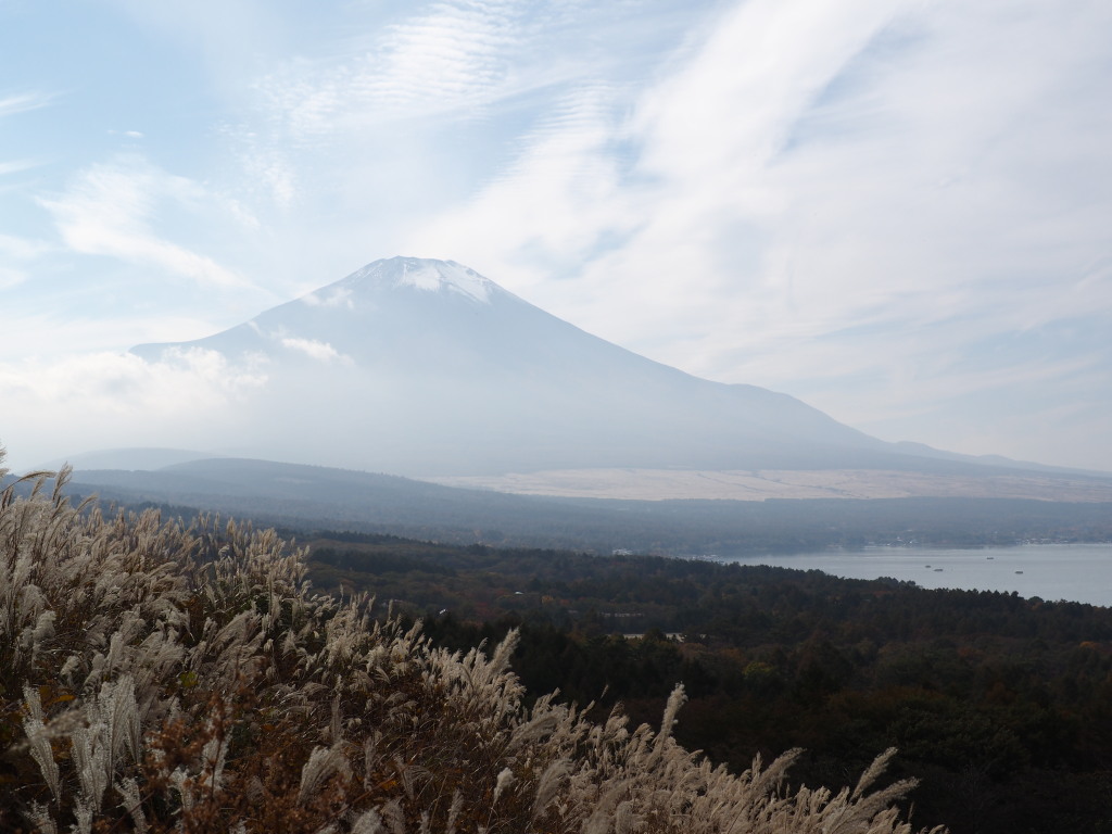 10/20 �������Ɖ_�ƕx�m�R