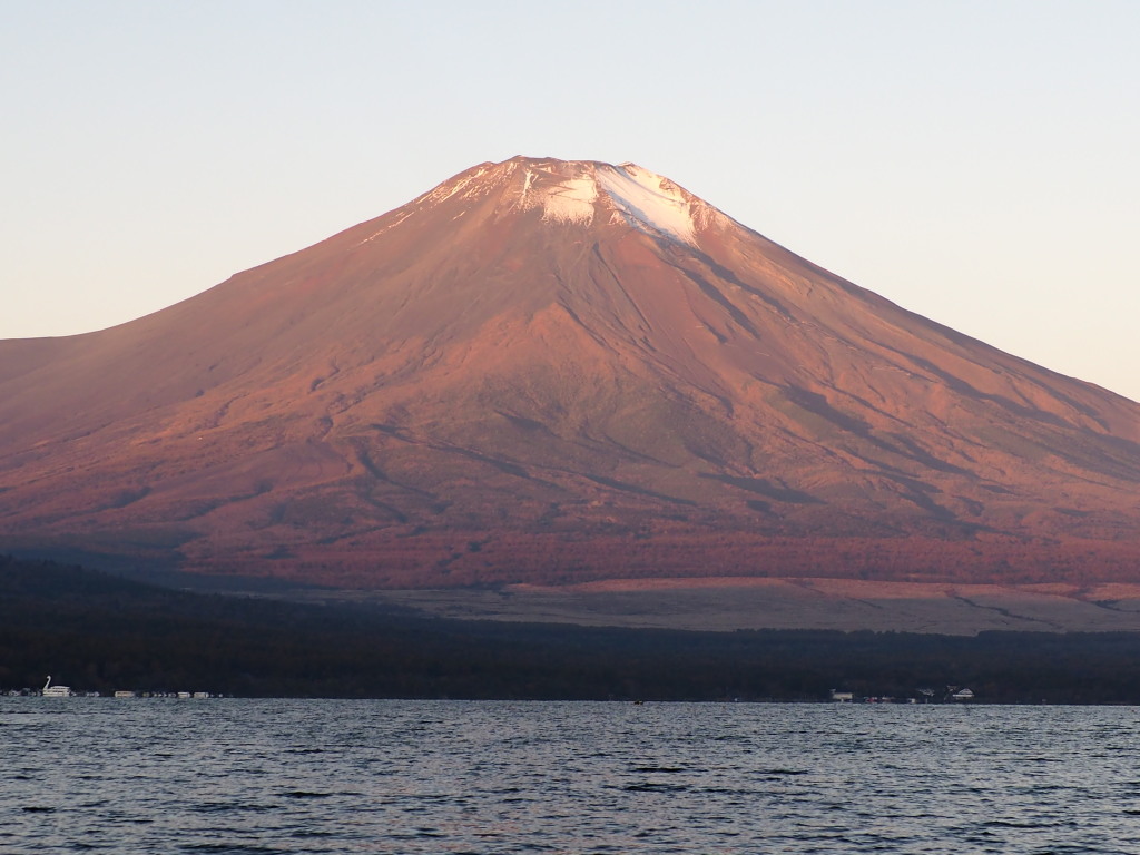 10/25 �n�����������x�m�R