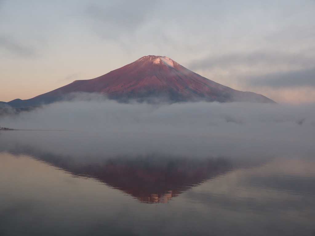 10/26 �_�C�Ƌt���x�m