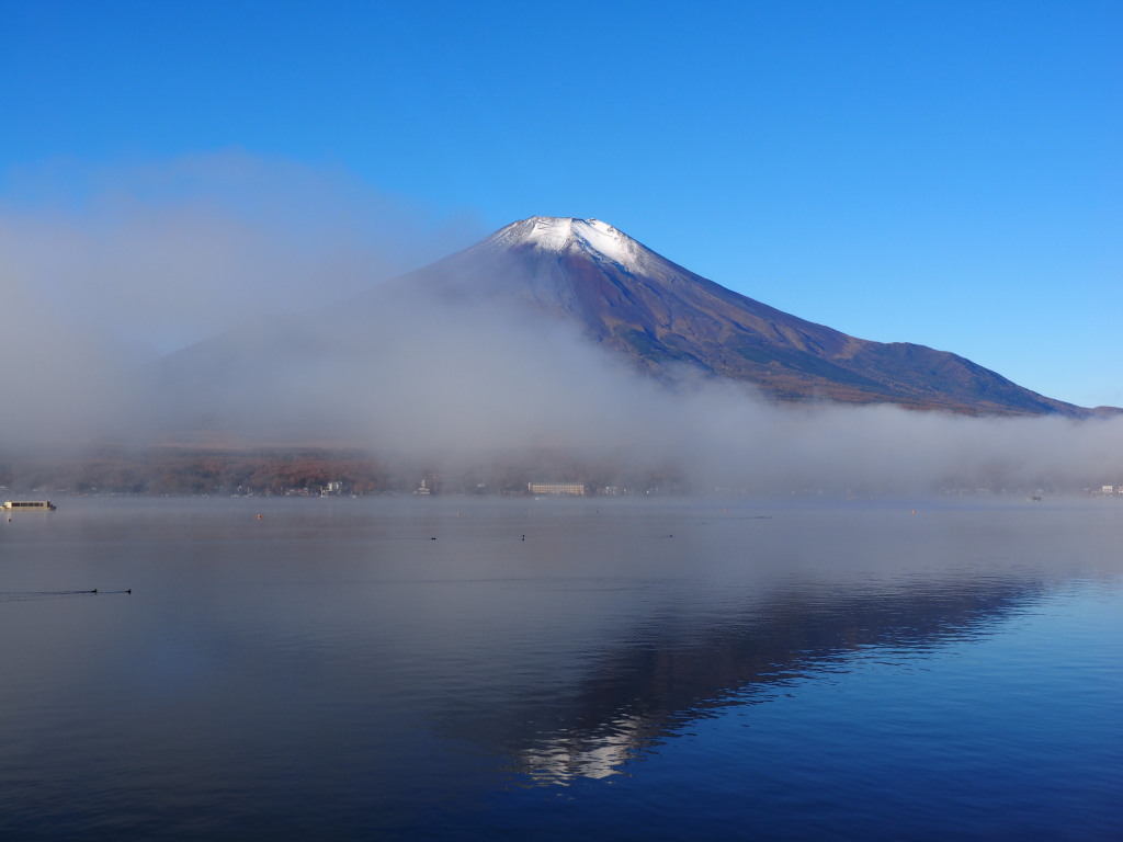 11/4 �_�C���؂�n�߂�