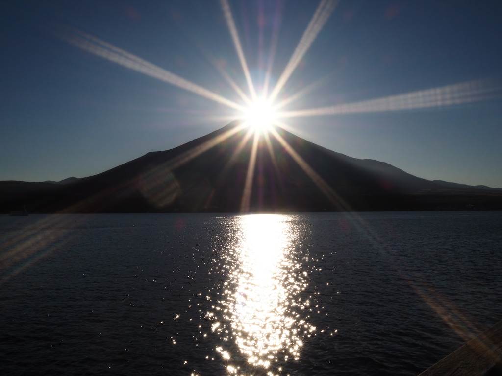 11/4 �_�C�������h�x�m