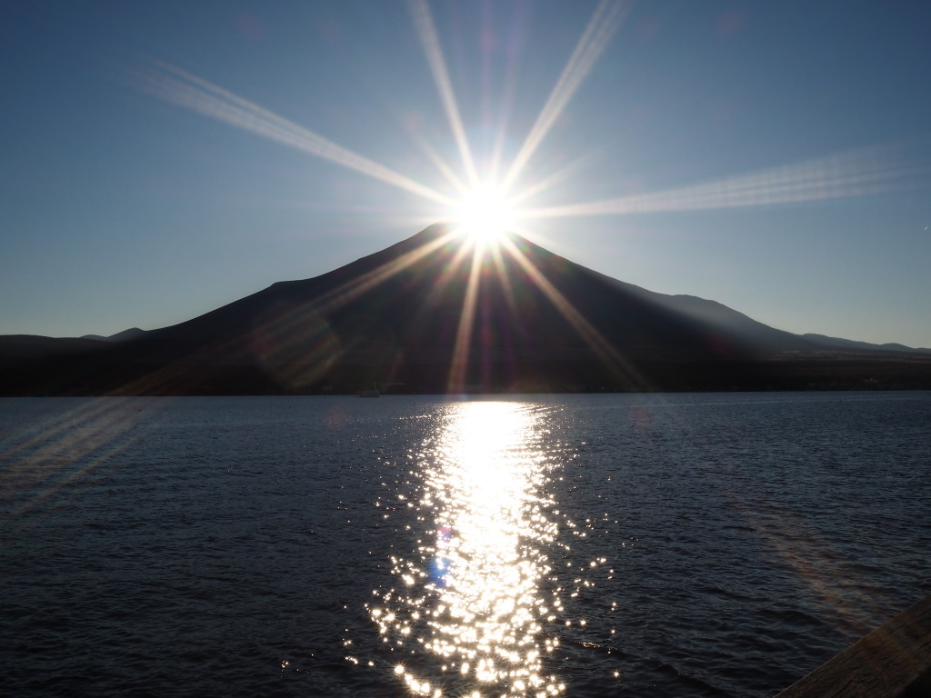 11/4 �_�C�������h�x�m(2)