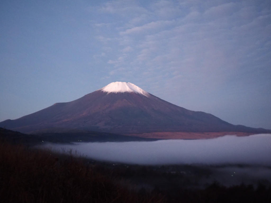 11/21 �J�オ��̕x�m�R