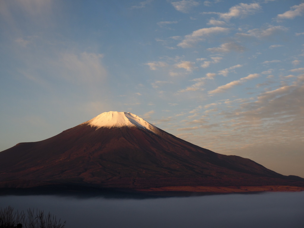 11/21 ���Ă��̕x�m�R