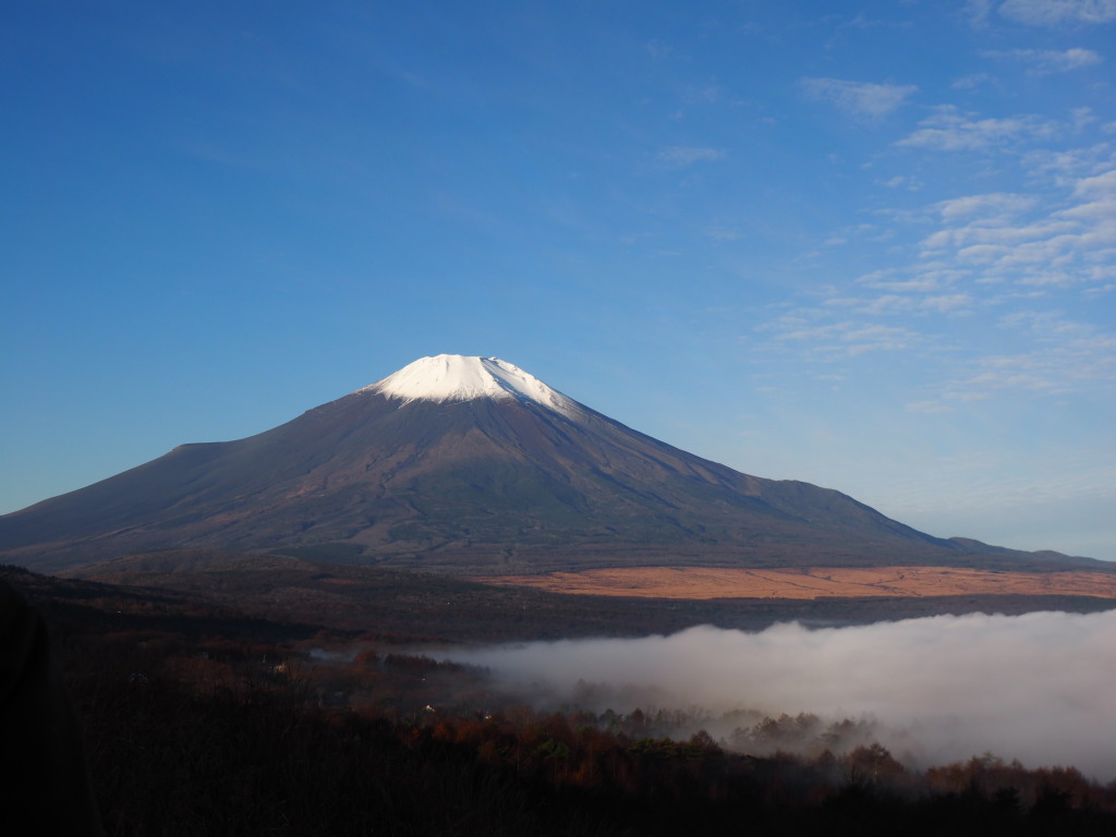 11/21 �_�C�ƕx�m�R