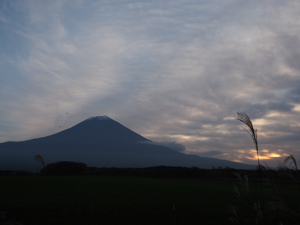 11/23 �������Ɠ��̏o�̕x�m�R