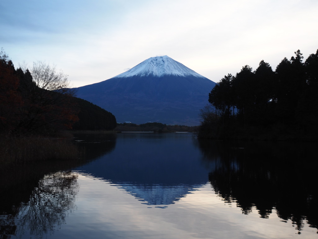 11/24 �t���x�m