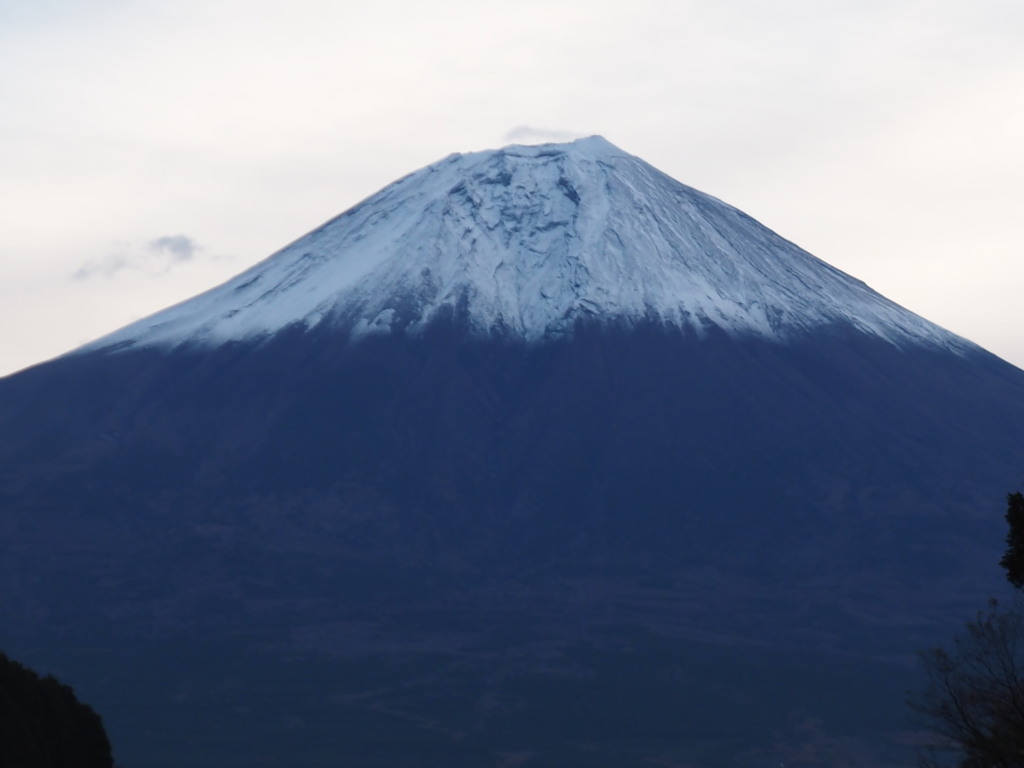 11/24 ��̃A�b�v