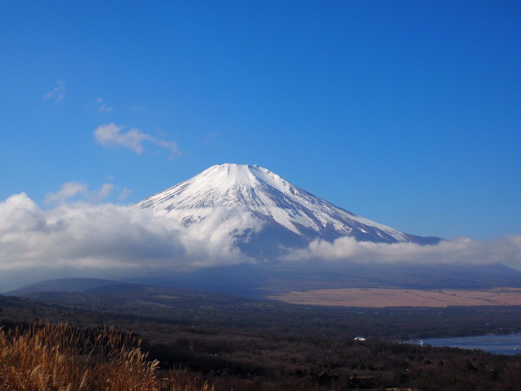 11/30 ��؂̉���