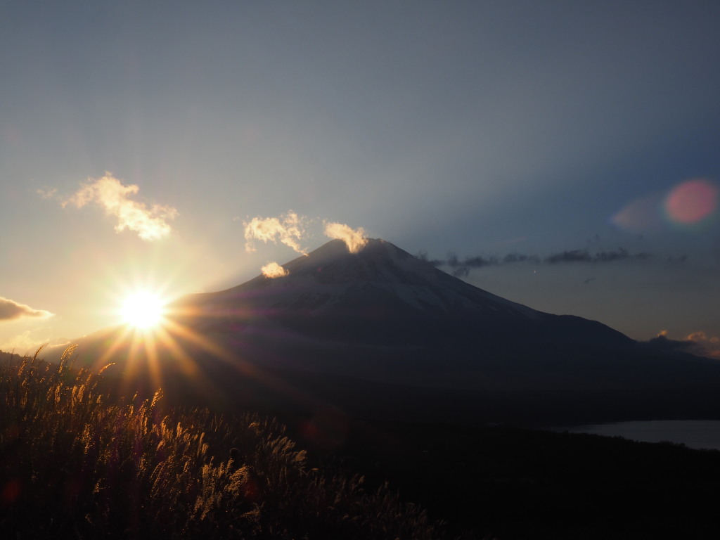 11/30 ���̓���̕x�m�R