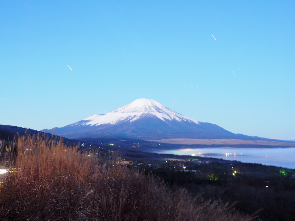 12/1 ����̕x�m�R