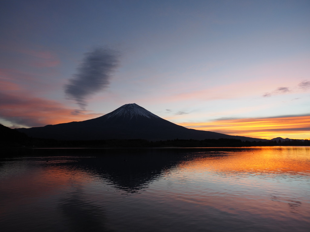 12/6 ���Ă��̕x�m�R