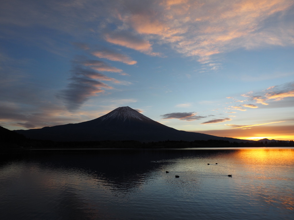 12/6 ���̏o�̎���