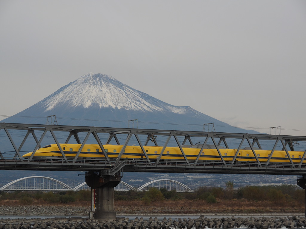 12/6 �h�N�^�[�C�G���[�ƕx�m�R