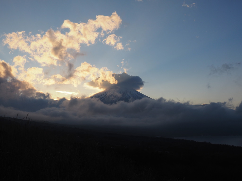 12/15 �ʉ_�ƕx�m�R