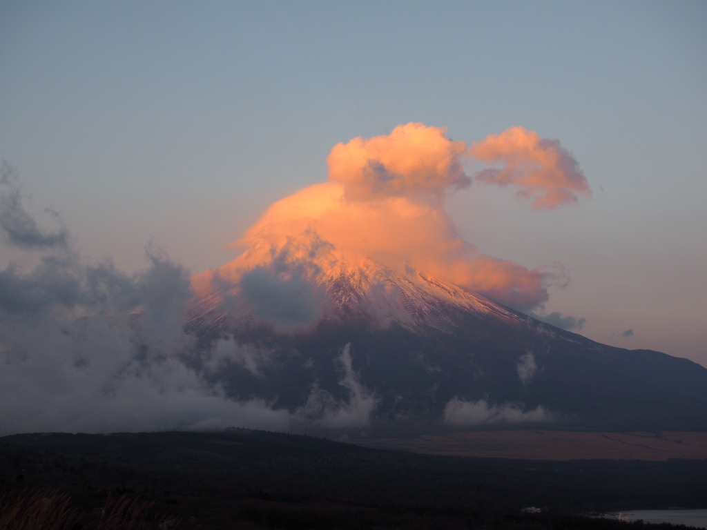 12/16 ���Ă��̕x�m�R