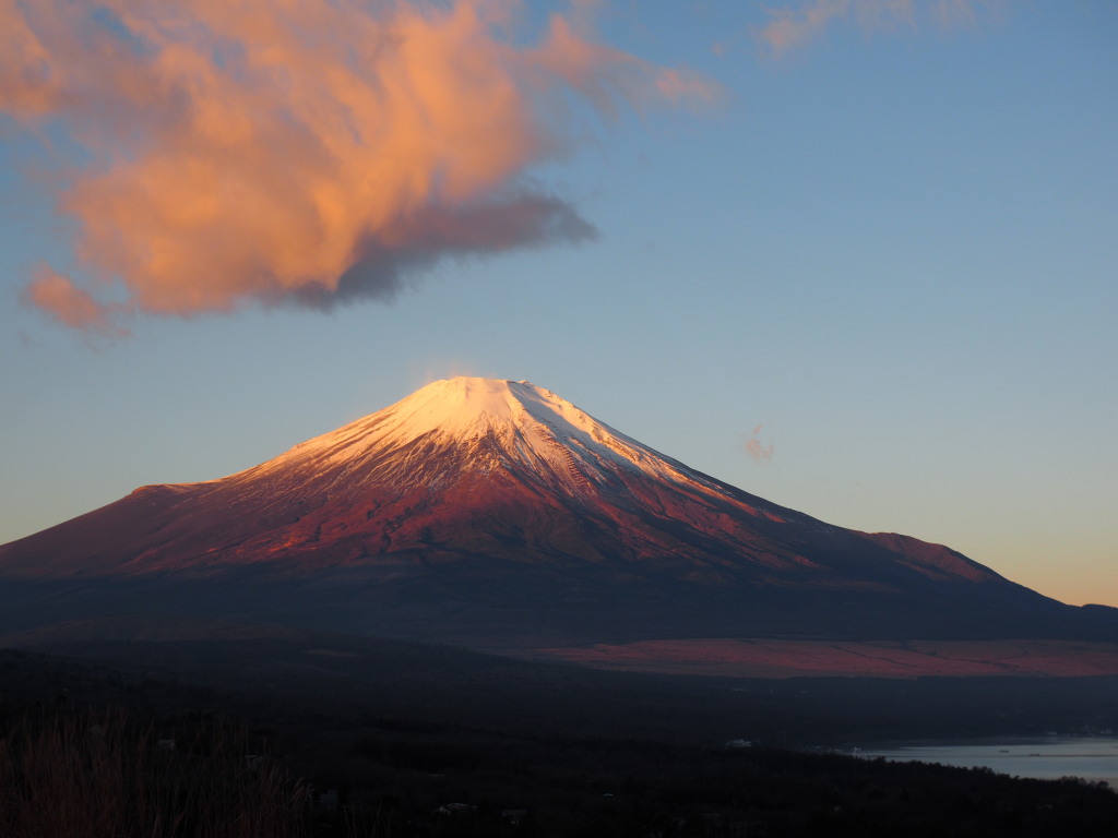 12/17 ���Ă��̕x�m�R