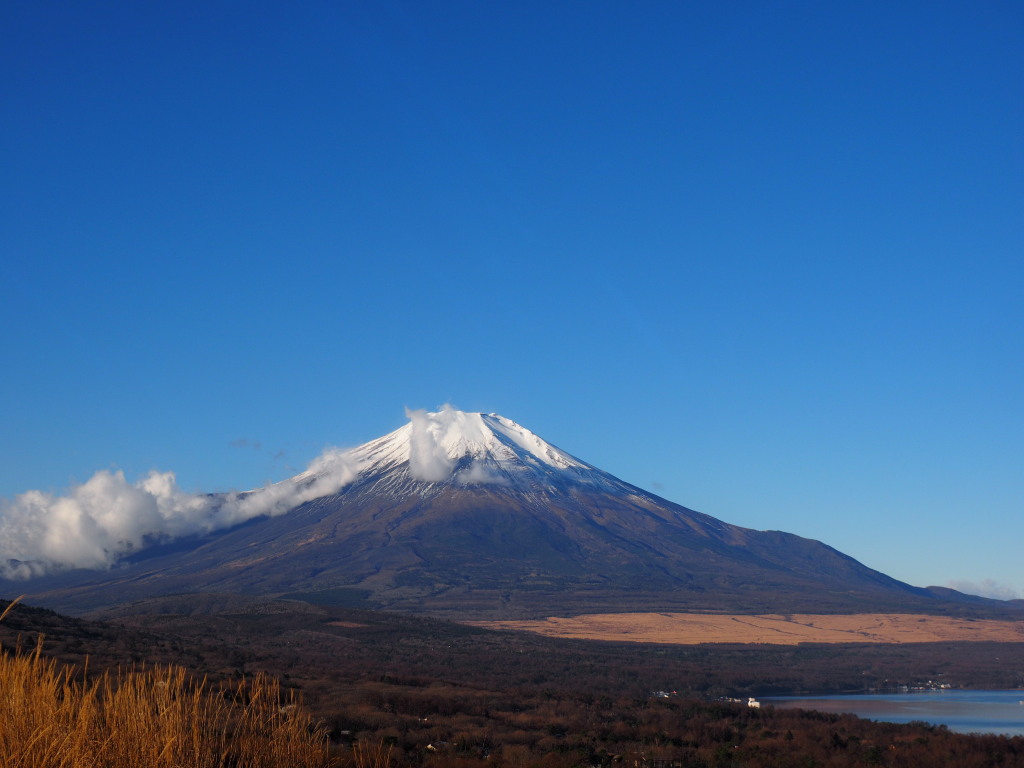 12/17 �_���؂ꂽ�x�m�R