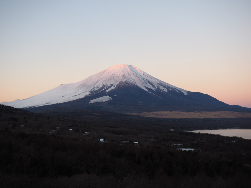 12/18 ��̕x�m�R