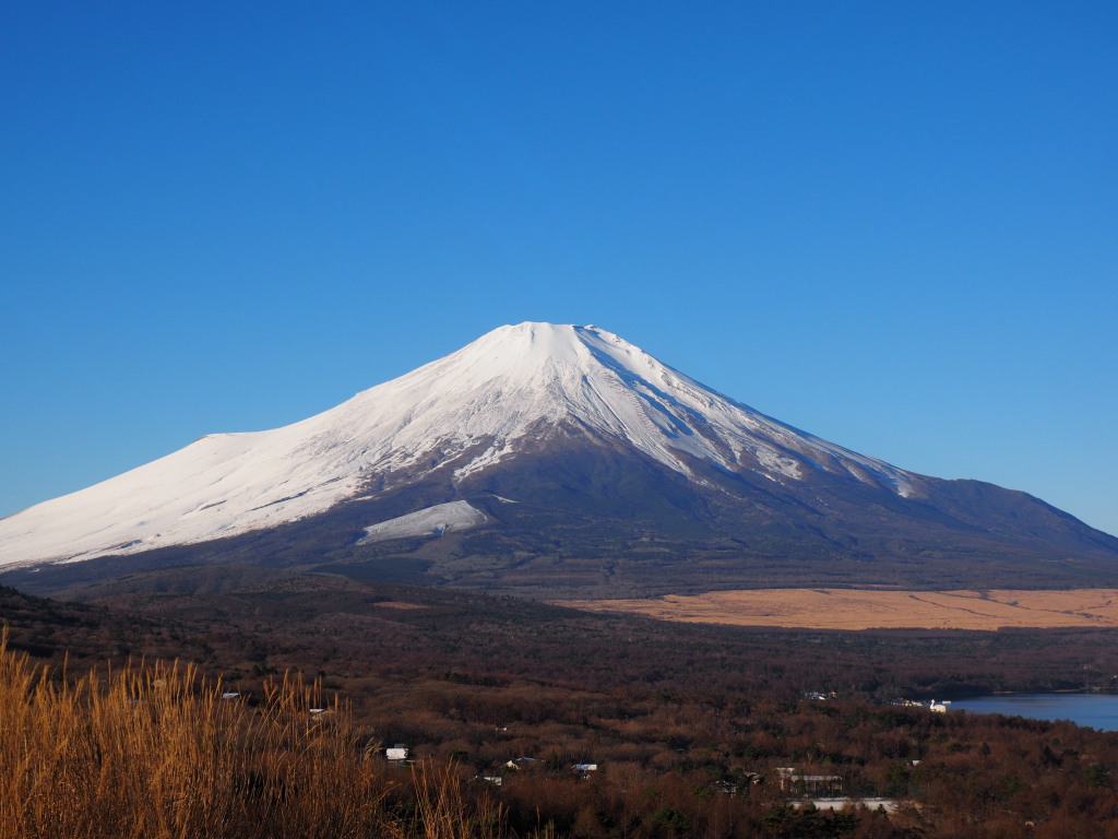 12/18 �~�̕x�m�R