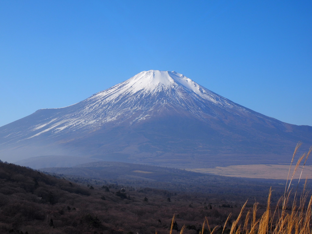 1/4 ���N�̕x�m�R